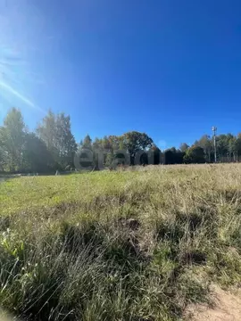 Участок в Ярославская область, Ярославский муниципальный округ, с. ...