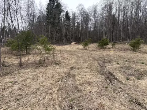Участок в Ленинградская область, Выборгский район, Рощинское городское ...