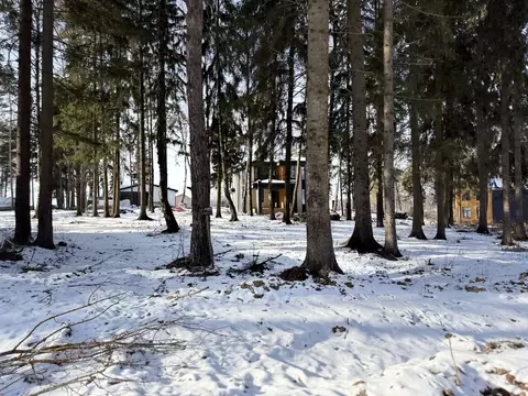 Участок в Московская область, Химки Сходня Форест Парк кп,  (7.0 сот.)