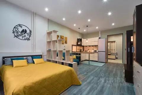 Студия Калужская область, Обнинск ул. Курчатова, 25/1 (35.0 м)