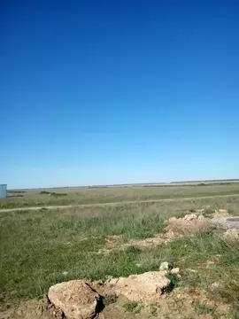 Участок в Крым, Сакский район, с. Молочное  (6.0 сот.)