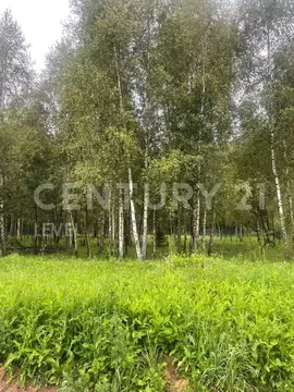 Участок в Калужская область, Боровский муниципальный округ, Ворсино ...