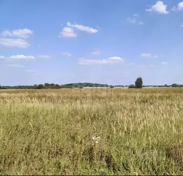 Участок в Алтайский край, Первомайский район, с. Сорочий Лог  (1800.0 ...