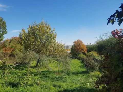 Участок в Амурская область, Благовещенск Преображенское СТ,  (6.5 ...