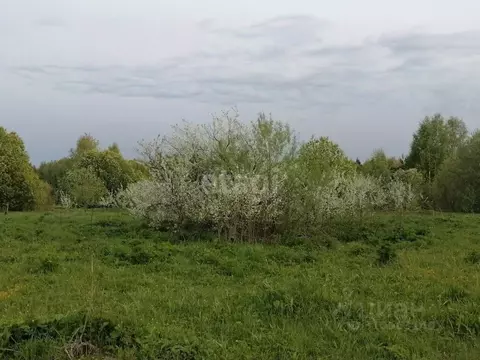 Участок в Владимирская область, Судогодский район, Мошокское ...