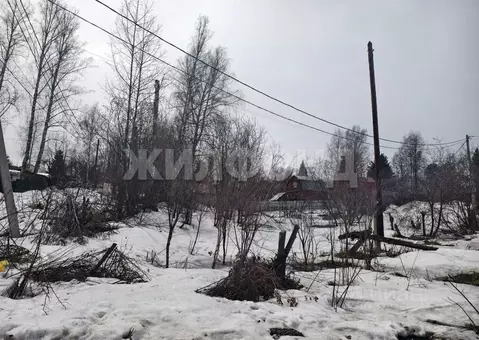 Участок в Новосибирская область, Новосибирск Спутник садовое ...
