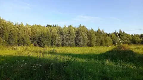 Участок в Ярославская область, Тутаевский муниципальный округ, ...