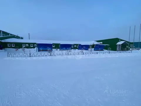 Офис в Ямало-Ненецкий АО, Новый Уренгой ул. Промысловая, 45 (252 м)