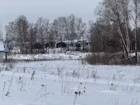 Участок в Алтайский край, Первомайский район, с. Фирсово Палитра жилой ...