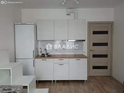 Квартира-студия: Санкт-Петербург, Муринская дорога, 25к2 (20 м)