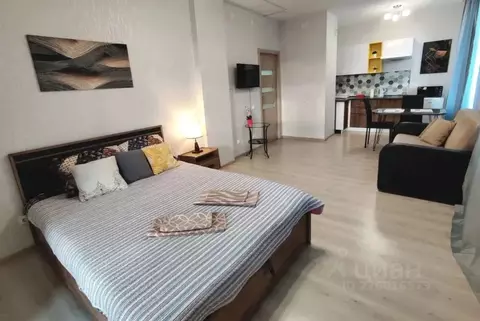 Студия Пермский край, Пермь ул. Революции, 52Б (39.0 м)