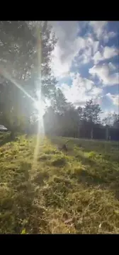 Участок в Московская область, Раменский муниципальный округ, Ильинский ...