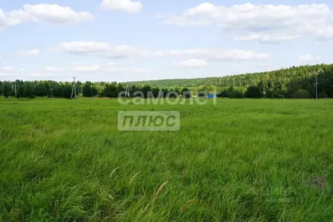 Участок в Московская область, Ступино городской округ, Кедровый парк ...