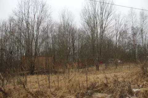 Участок в Московская область, Шаховская муниципальный округ, д. ...