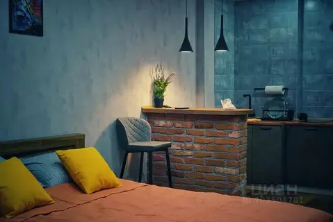 Студия Липецкая область, Липецк ул. С.С. Бехтеева, 7 (32.0 м)