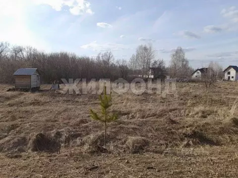 Участок в Алтайский край, Барнаул городской округ, пос. Бельмесево ул. ...