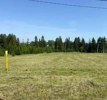 Участок в Удмуртия, Завьяловский район, д. Каменное, Зеленодолье кп ...