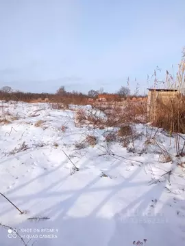 Участок в Воронежская область, Новоусманский район, Хреновское с/пос, ...