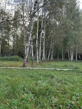 Участок в деревня Колонтаево, улица Новая Слобода, 14 (7 м)