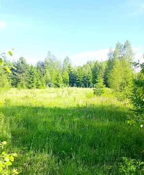 Участок в Калужская область, Малоярославецкий муниципальный округ, ...