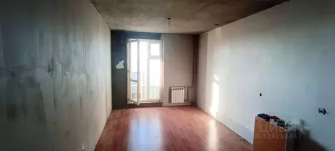 Студия Новосибирская область, Новосибирск ул. Забалуева, 92 (22.8 м)