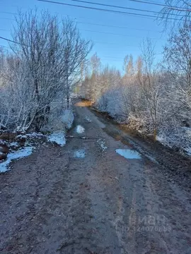 Участок в Ленинградская область, Выборгский район, Первомайское с/пос, ...