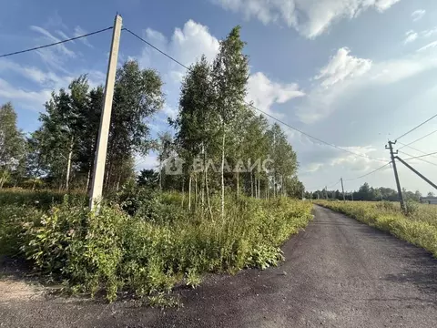 Участок в Ленинградская область, Всеволожский район, Романовское ...