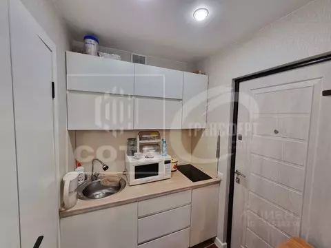 1-к кв. Воронежская область, Воронеж Южно-Моравская ул., 29 (17.0 м)