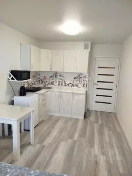 Студия Ленинградская область, Мурино Всеволожский район, ул. Шоссе в ...