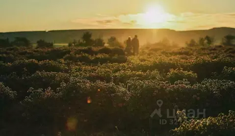 Участок в Крым, Бахчисарайский район, Скалистовское с/пос, с. ...