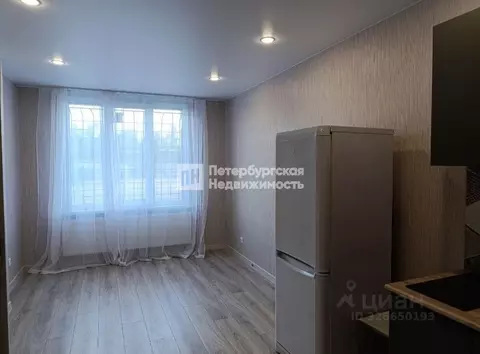 Студия Ленинградская область, Мурино Всеволожский район, ул. Шоссе в ...