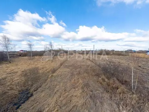 Участок в Тюменская область, Тюмень Луч СНТ, ул. Садовая, 13 (8.0 ...