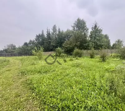 Участок в Московская область, Истра муниципальный округ, д. Кашино ул. ...