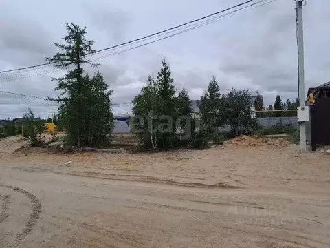 Участок в Ямало-Ненецкий АО, Новый Уренгой Мечта СНТ, ул. Ивовая (6.0 ...