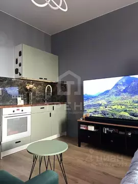 Студия Санкт-Петербург ул. Ультрамариновая, 8 (24.5 м)