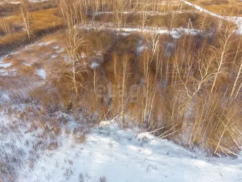 Участок в Тюменская область, Тюмень Поле Чудес садовое товарищество, ...