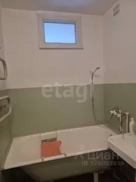 1-к кв. Омская область, Омск Заозерный мкр, просп. Менделеева, 6 (31.1 ...