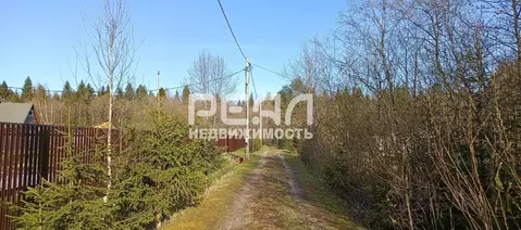 Участок в Ленинградская область, Гатчинский муниципальный округ, ...