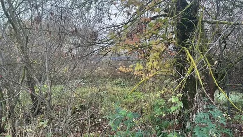 Участок в Московская область, Ступино городской округ, с. Киясово  ...