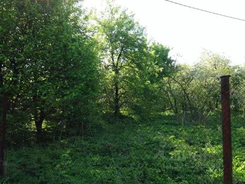 Участок в Московская область, Раменский муниципальный округ, Агрохимик ...