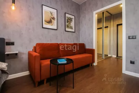 Студия Тюменская область, Тюмень ул. 2-я Луговая, 22к2 (27.9 м)