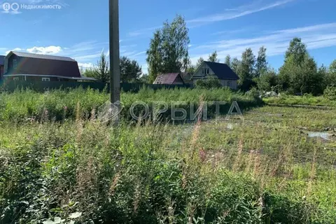 Участок в Тюменский муниципальный округ, СНТ Нива, Грибная улица (8 м)