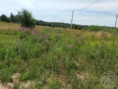 Участок в Ленинградская область, Лужский район, Скребловское с/пос, д. ...