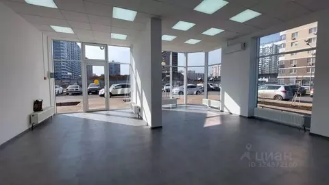 Помещение свободного назначения в Краснодарский край, Краснодар бул. ...