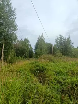 Участок в Карелия, Прионежский район, Деревянское с/пос, д. Ужесельга  ...