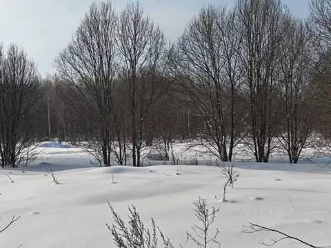 Участок в Московская область, Руза  (12.11 сот.)