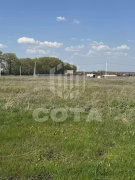 Участок в Воронежская область, с. Новая Усмань ул. Дачная (9.0 сот.)