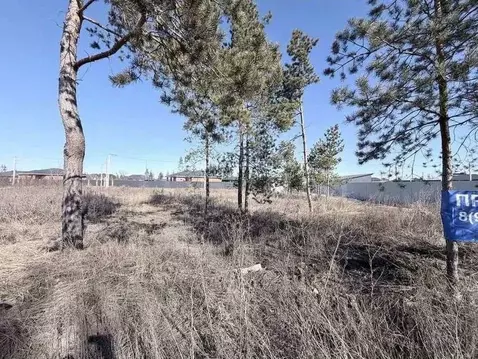 Участок в Воронежская область, Рамонский район, Новоживотинновское ...