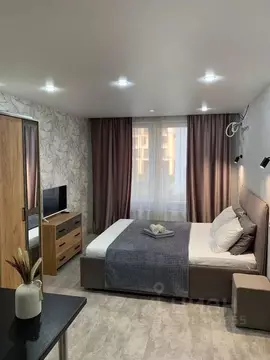 Студия Московская область, Люберцы ул. Солнечная, 2 (23.0 м)