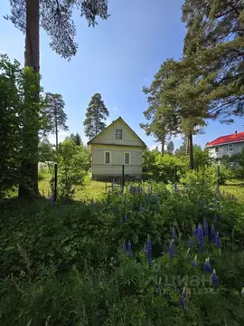 Дом в Ленинградская область, Гатчинский муниципальный округ, Вырица ...
